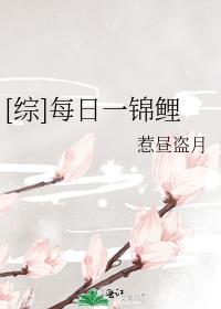 综每日一锦鲤txt