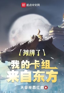 摊牌了我的卡组来自东方TXT