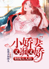 财阀大少