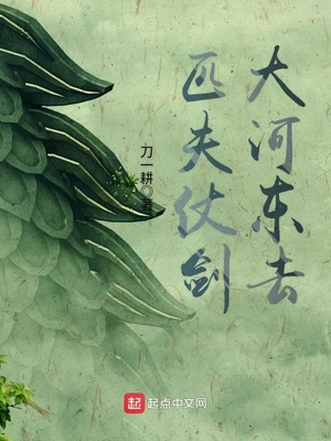 匹夫仗剑大河东去 小说