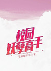 校园妖孽高手楚鹏全