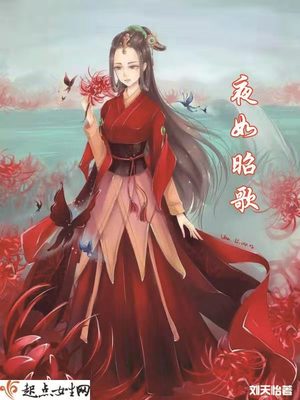 夜如昭歌 刘天怡
