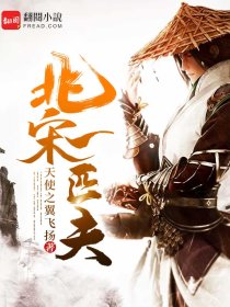 北宋一匹夫无弹窗全文阅读