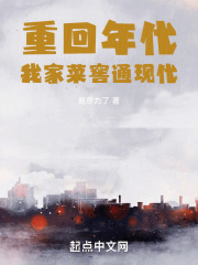 重回年代我家菜窖通现代TXT下载