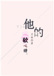 他的软心糖小说全集免费观看