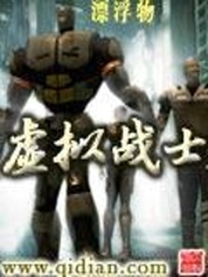 虚拟战士小说下载