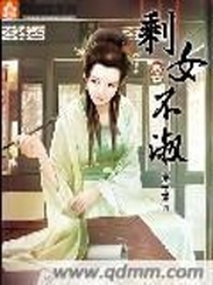 剩女不淑故事简介