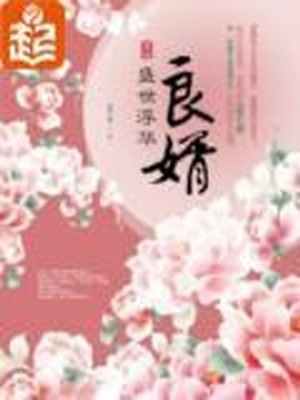 良婿小说