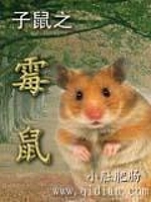 子鼠中的子