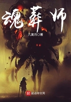 魂葬师 花落人断肠
