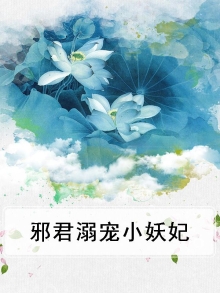 邪君溺宠小妖妃