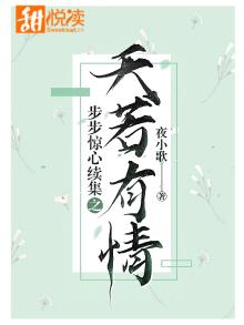 步步惊心续集之天若有情