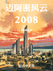 迈阿密风云2008