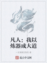 凡人我以炼器成大道