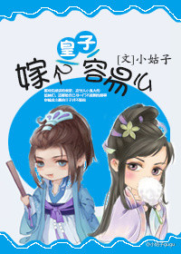 嫁个皇子容易么txt