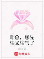 叶先生又凶又甜小说