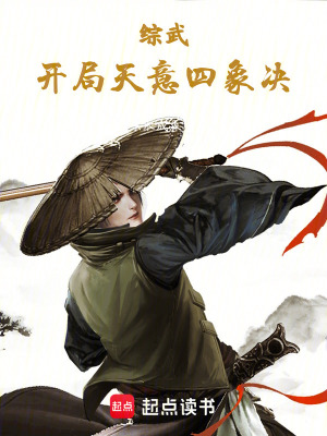 综武开局天意四象决 小说