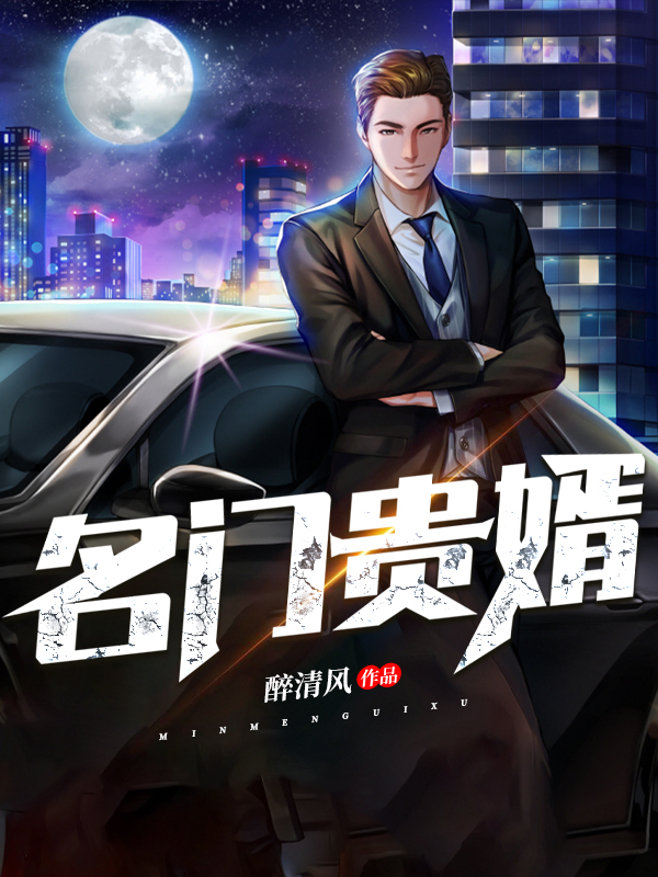 名门贵婿