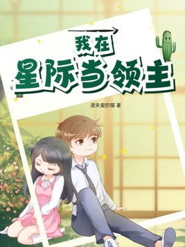星际领主:我的星际舰队
