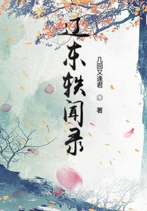 辽东轶闻录
