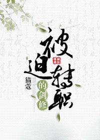被迫转职的剑修CP