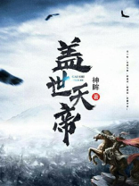 盖世天帝TXT下载