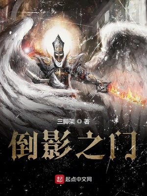 倒影之门 小说