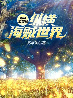神奇宝贝之海贼