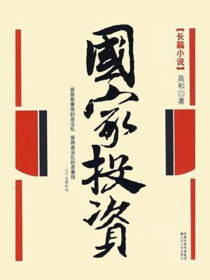 国家投资