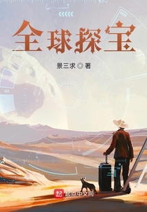全球探宝小说