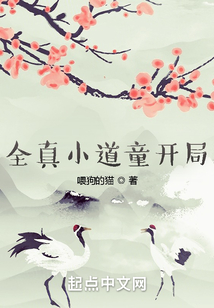 全真小道童开局