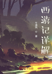 西游记详解版十三回概括300字