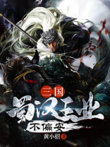 新三国汉贼不两立王业不偏安
