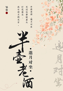 半壶老酒对联