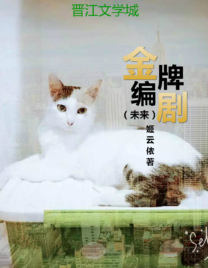 金牌编剧（未来）