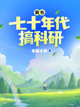 我在七十年代搞科研TXT下载