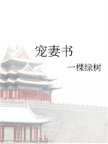 宠妻书
