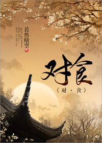 对食小说