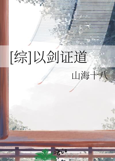 主角以剑证道的小说