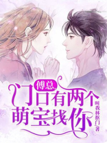 傅总门口有两个萌宝找你
