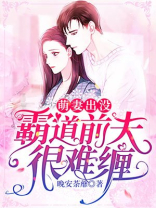 萌妻出没霸道前夫很难缠小说