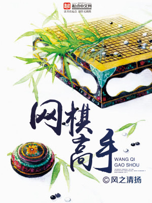 网棋高手 小说