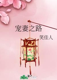 宠妻之路
