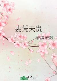 妻凭夫贵百度云TXT