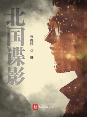 北国谍影战事小说免费阅读