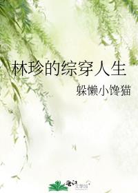 林珍的综穿人生二连载情况