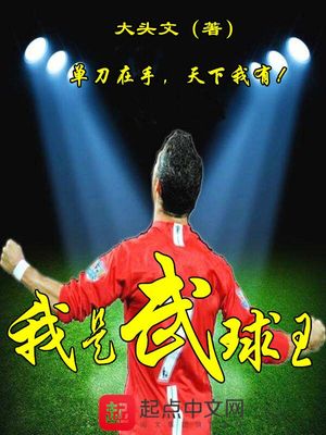 我是武球王笔趣阁