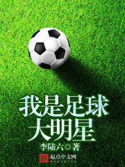 我是足球队员