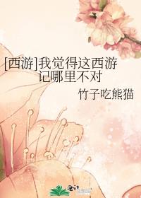 [西游]我觉得这西游记哪里不对作者:竹子吃熊猫