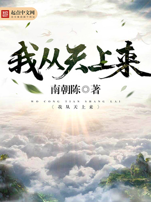 我从天上来小说